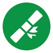 College career readiness icon