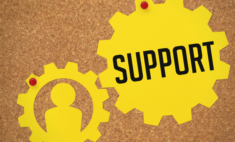 CA System of Support 