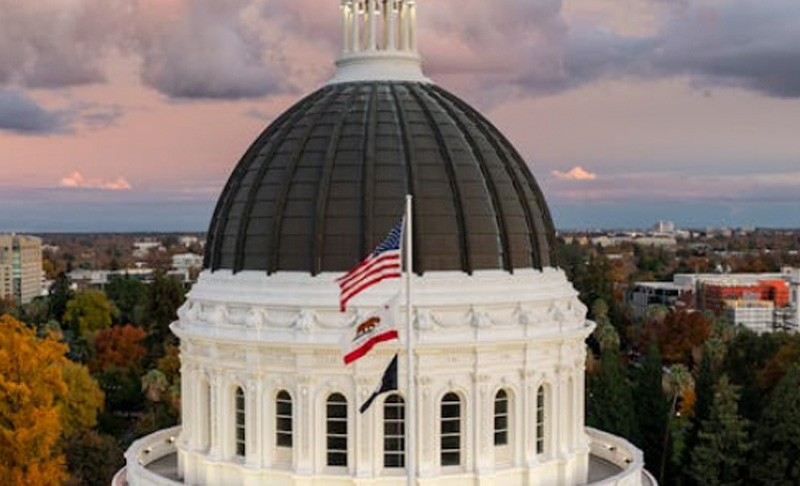 State & Federal Programs