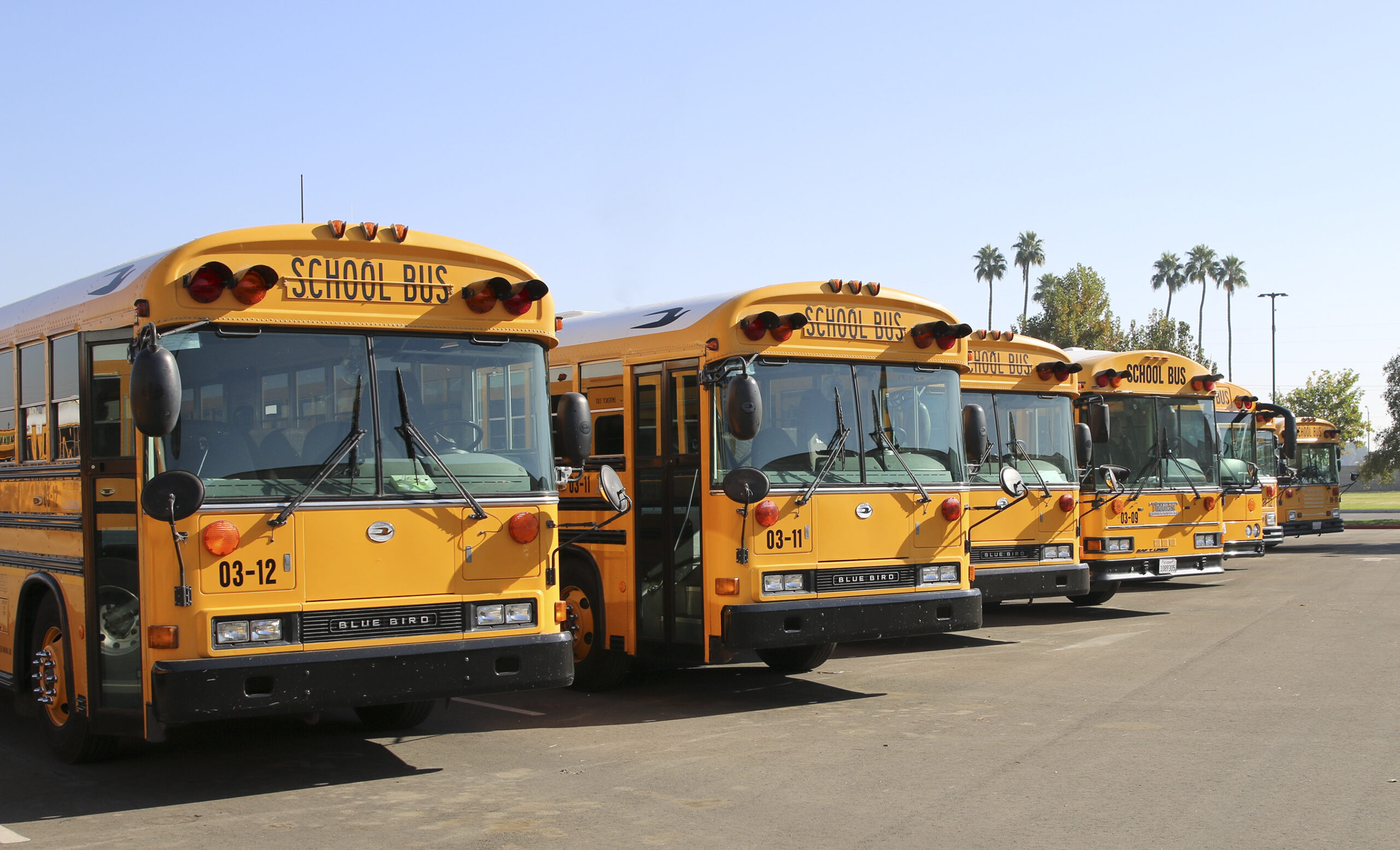 Line up of KCSOS school buses