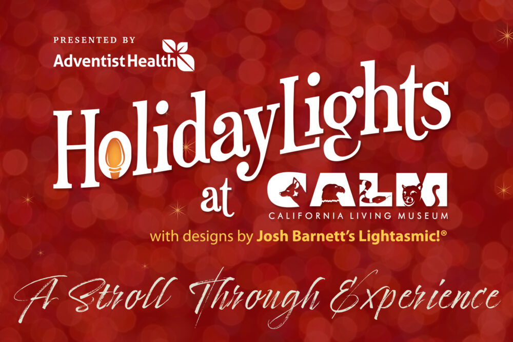 HolidayLights at CALM Returns Nov. 25