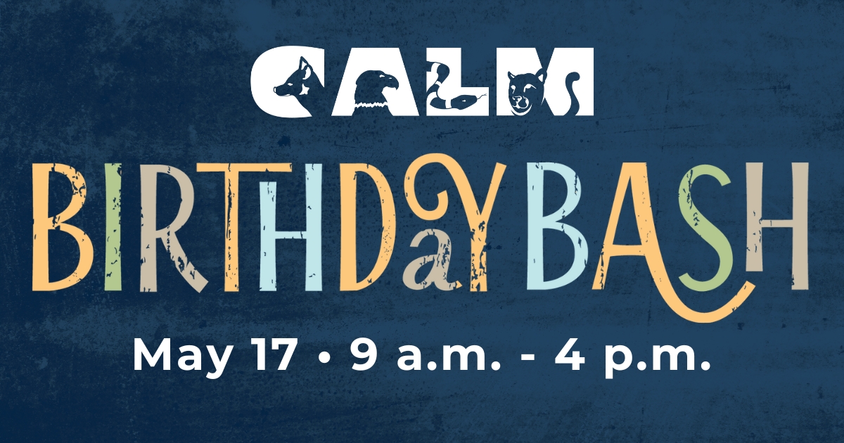 Calm Birthday Bash