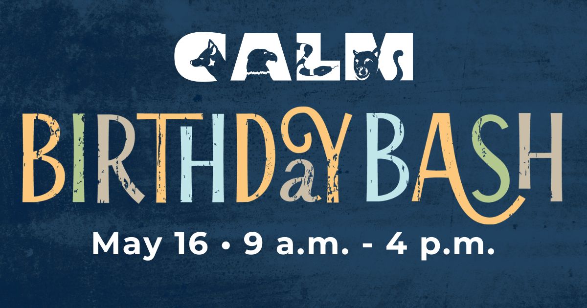 Birthday Bash